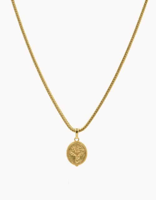 Albero Di Noce Kette Gold Edelstahl